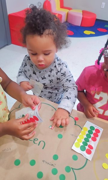 1776185709026-dmsloedc199