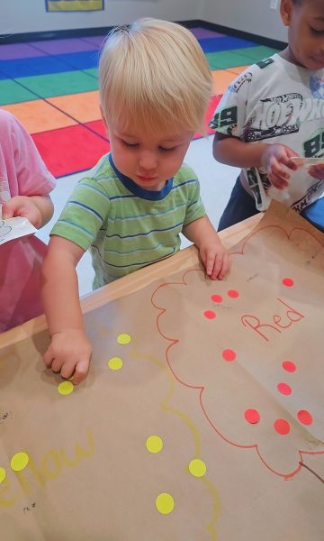 1776185709777-yy9d1inhxuo