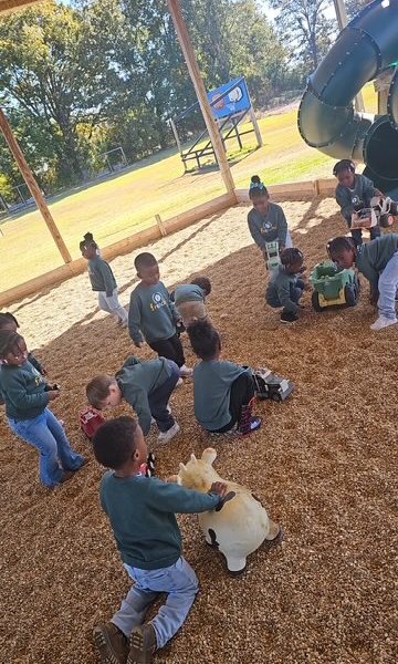 1776185711991-gtsvntgxjo