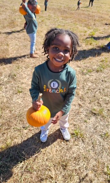 1776185714402-vx3cgp3zdz